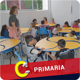 primaria