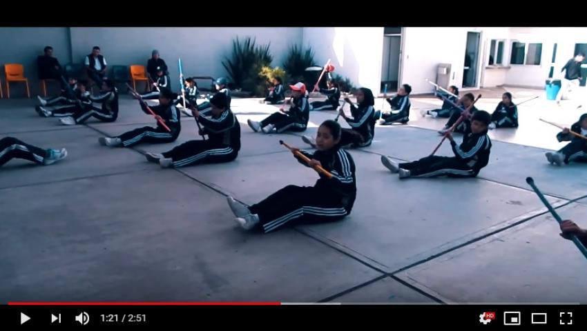 Videos MAPI