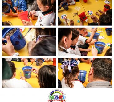 Galeria MAPI